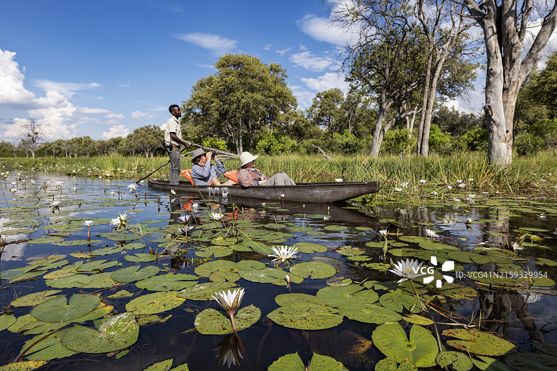 游客在奥卡万戈三角洲的水道上享受Mokoro（传统独木舟）之旅图片素材