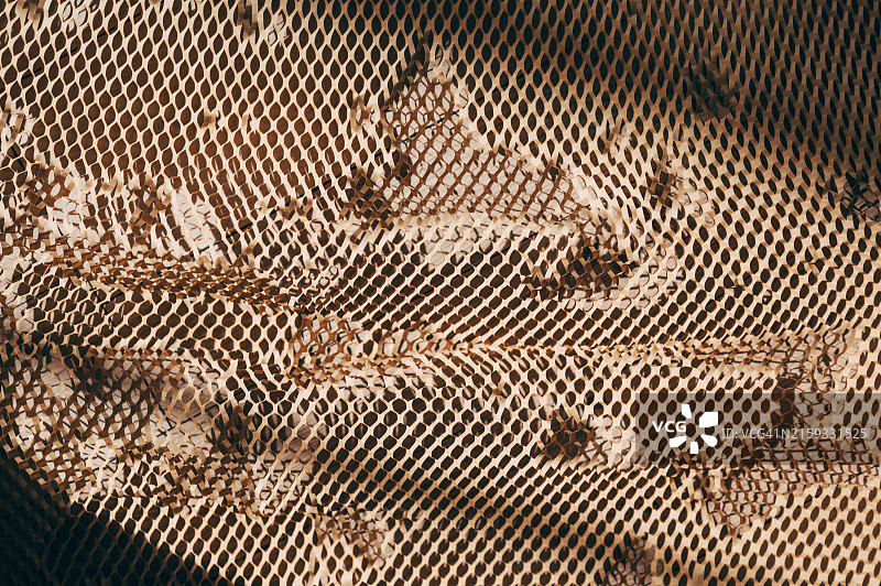 生态供应商走绿包装包裹纸箱在净零废物商店卖家零售商店。地球关怀日小企业主人们包装再利用牛皮纸包装礼品减少塑料免费订购。图片素材