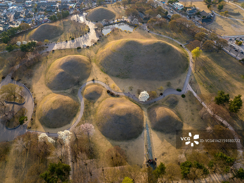 大陵苑古墓群中的玉兰花图片素材