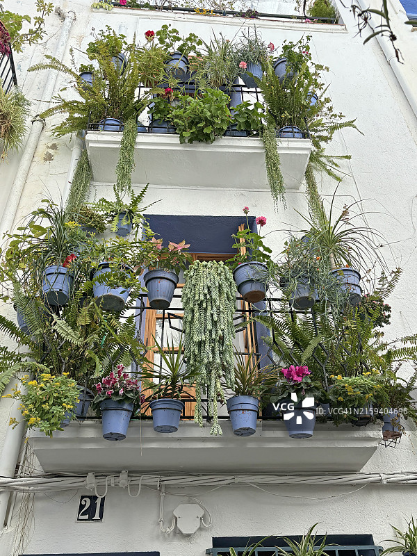 装饰阳台的盆栽图片素材