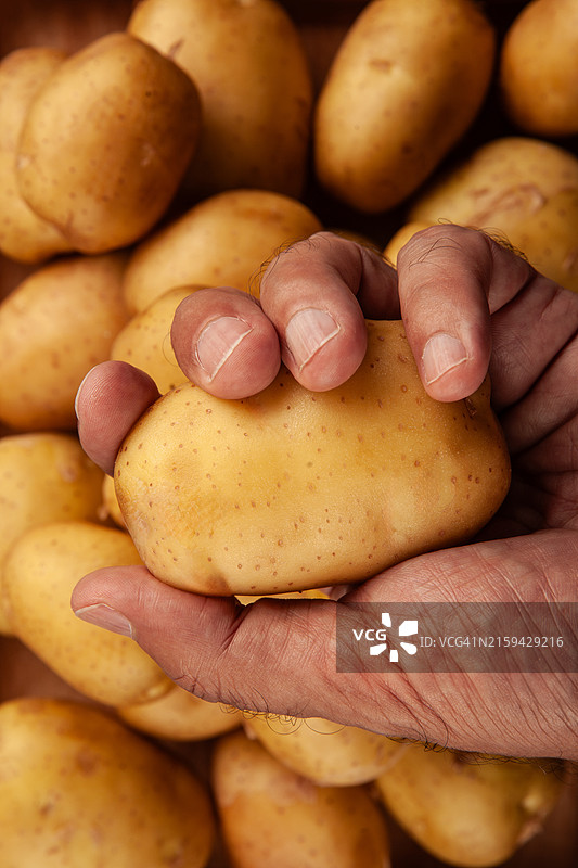 从上面拿着熟土豆图片素材