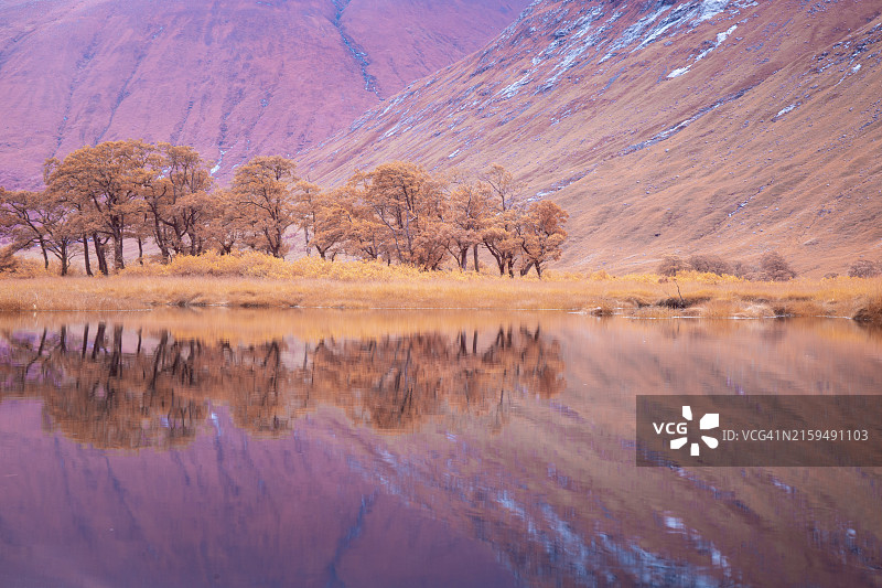 英国苏格兰格兰埃蒂夫的红外图像图片素材