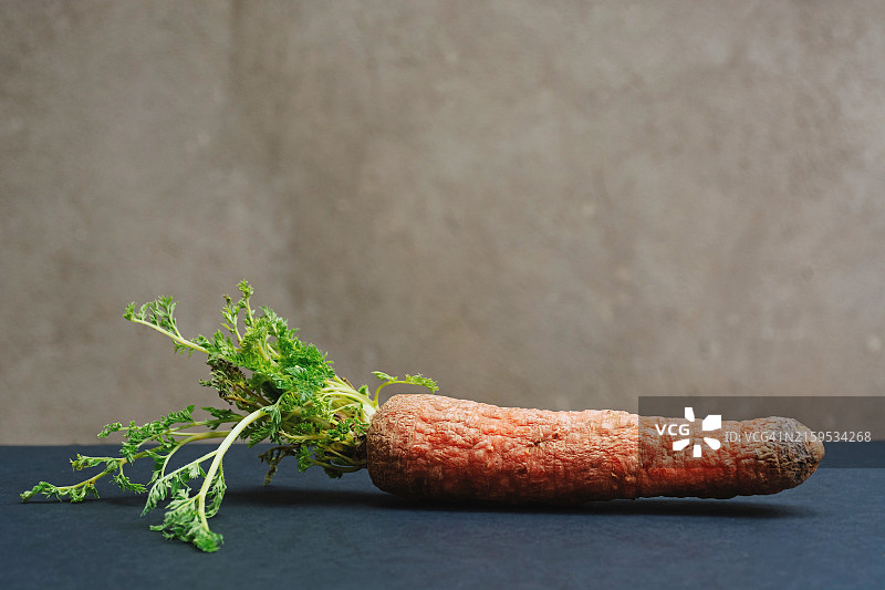 黑色背景上的旧发芽胡萝卜，发芽蔬菜图片素材