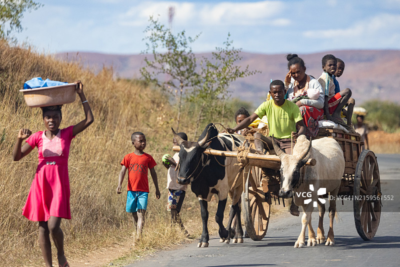 马达加斯加Ranohira的瘤牛拉车和当地通勤者图片素材