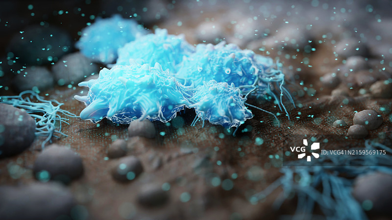 癌细胞展示图片素材