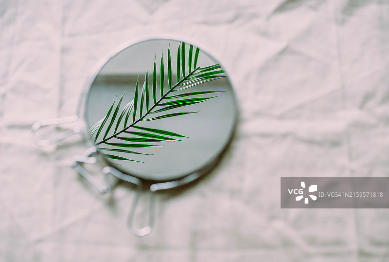 白色自然背景上的镜子，反射出植物图片素材