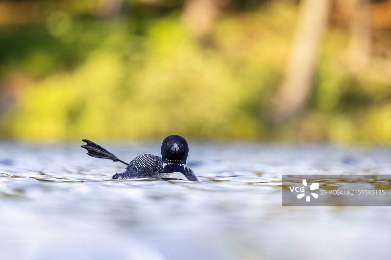 疯狂的波浪图片素材