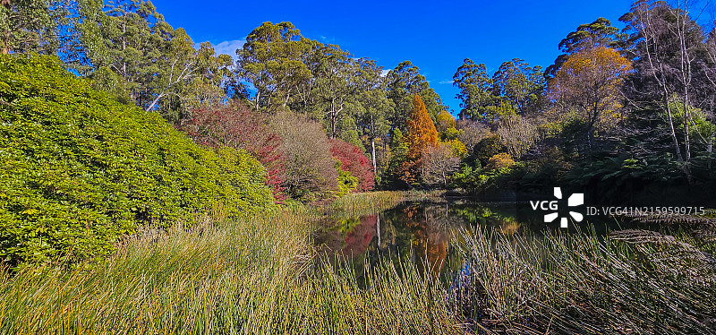 澳大利亚维多利亚州丹德农山脉国家公园的秋色图片素材