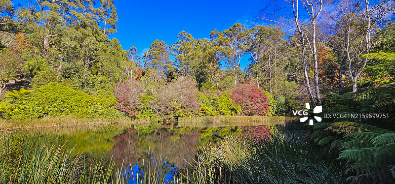 澳大利亚维多利亚州丹德农山脉国家公园的秋色图片素材