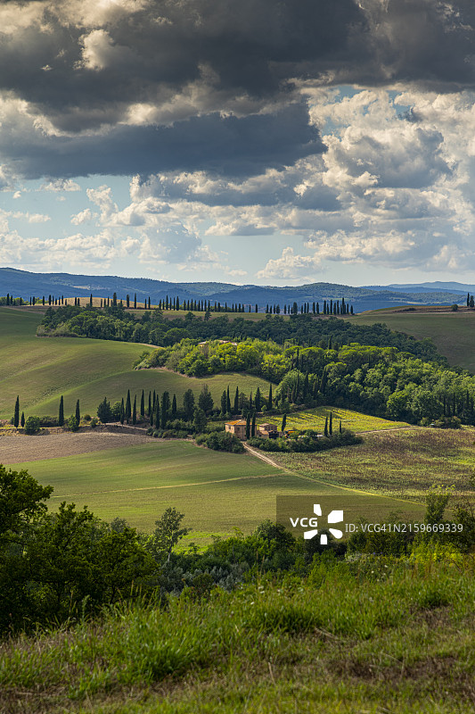 托斯卡纳：布昂孔文托周边的乡村景观图片素材
