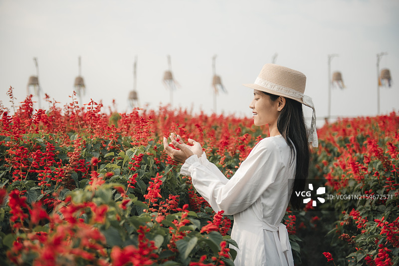 泰国达府蒙莫克塔湾花园和日出前的雾景，身穿白色连衣裙的女游客图片素材