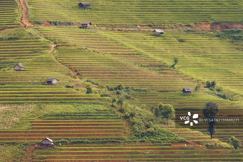 越南木江界的彩色梯田图片素材