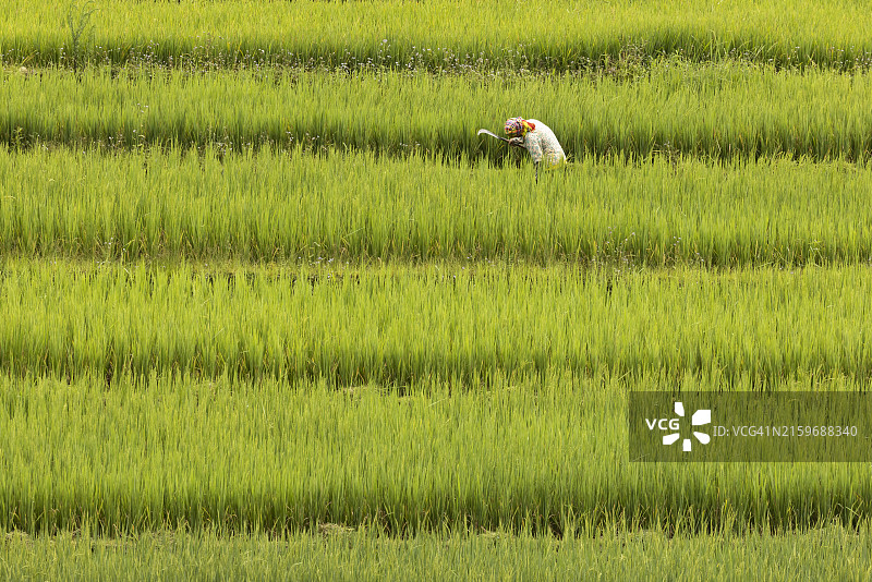 越南木江界的彩色梯田图片素材