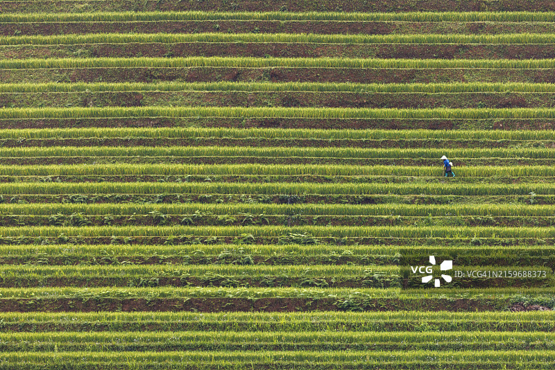 越南木江界的彩色梯田图片素材