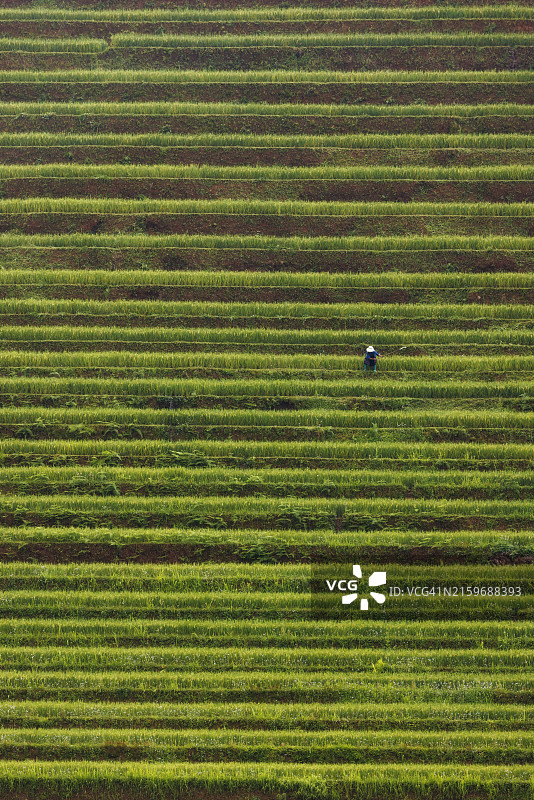 越南木江界的彩色梯田图片素材