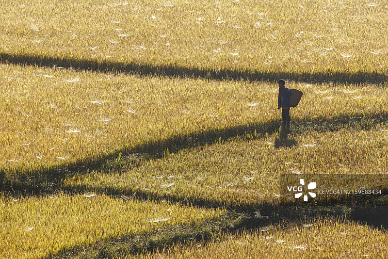 越南木江界的彩色梯田图片素材