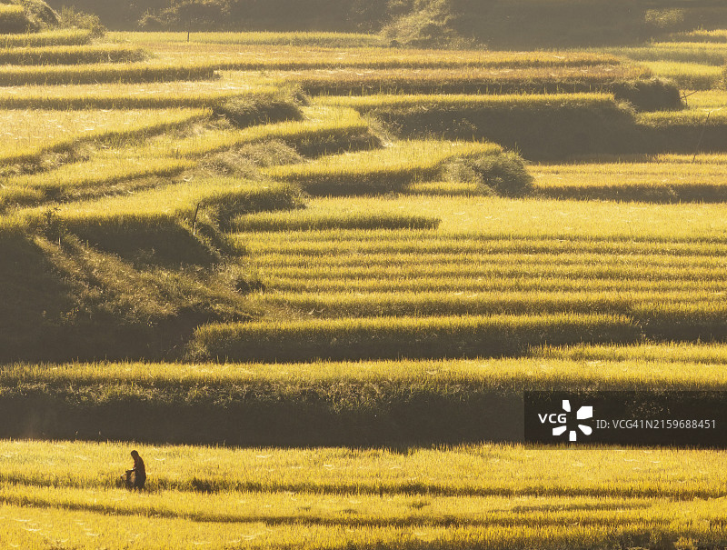 越南木江界的彩色梯田图片素材