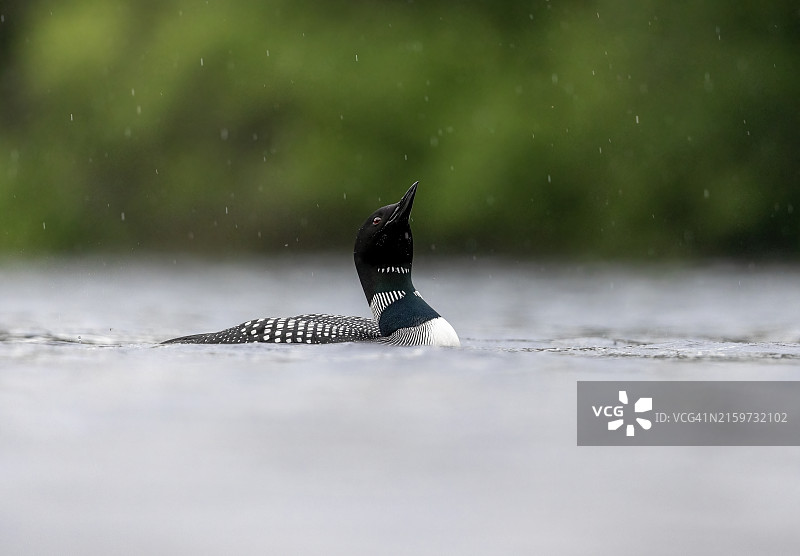 落在我头上的雨滴图片素材