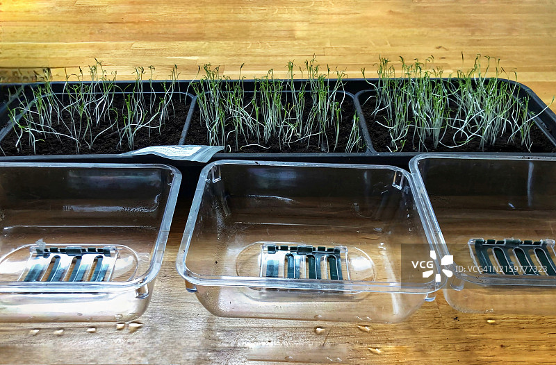 带有壁板的繁殖器图片素材