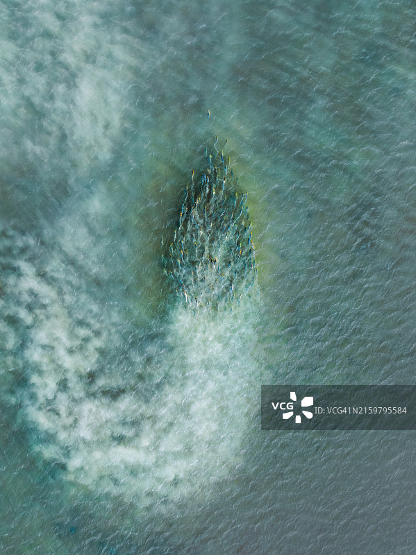 无人机拍摄的在澳大利亚西澳大利亚金伯利布鲁姆罗巴克湾游泳的大鱼群图片素材