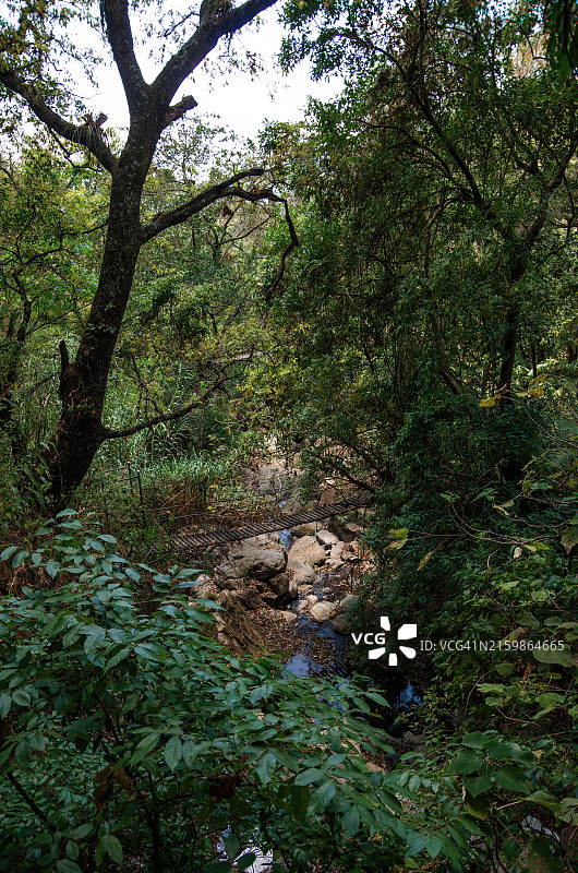 危地马拉阿蒂特兰自然保护区的河流图片素材
