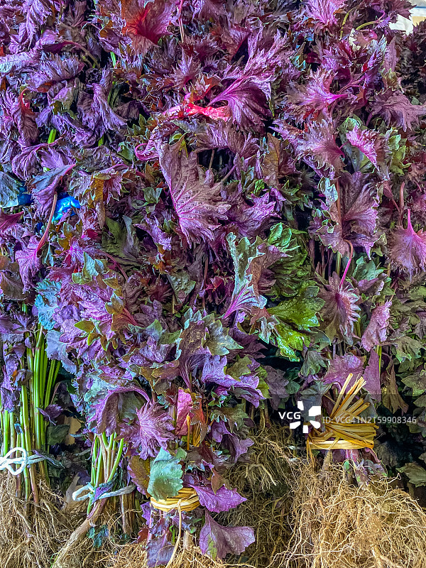 金泽农贸市场上的成束红紫苏图片素材