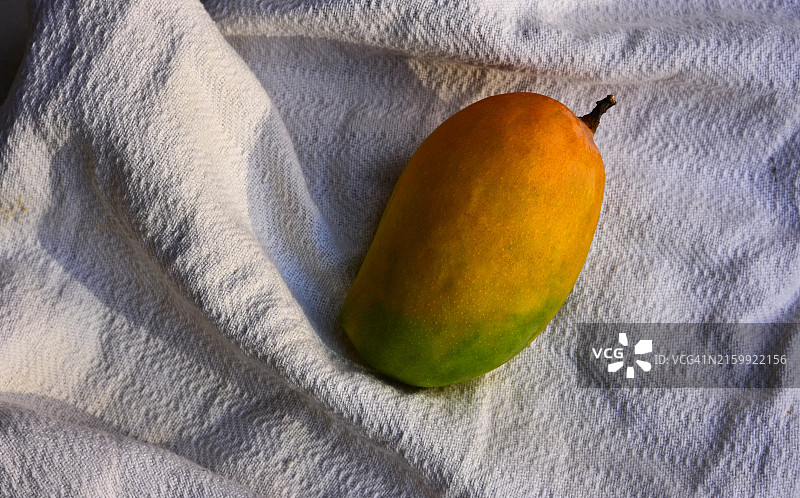 芒果图片素材