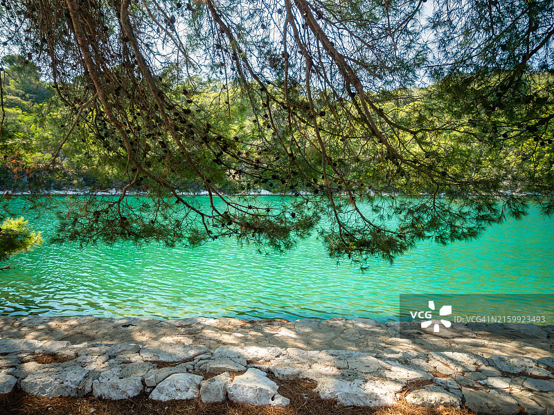 克罗地亚姆列特国家公园：姆列特岛圣玛丽岛码头的绿松石色湖水图片素材