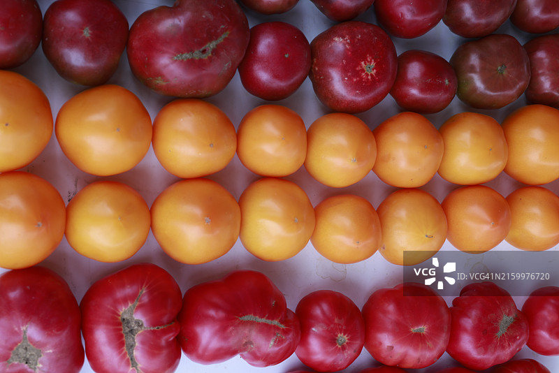 农贸市场上，桌子上待售的番茄图片素材