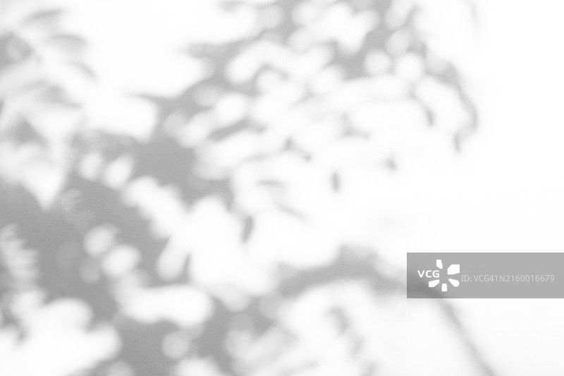 白色混凝土墙背景上的阴影图片素材