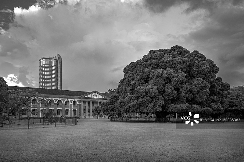 大学校园里的树木和建筑图片素材