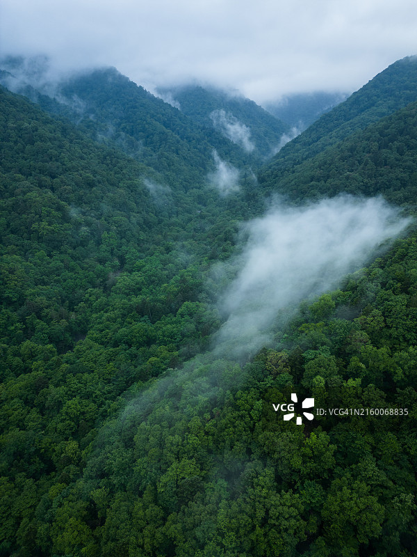 北海道富良野山图片素材