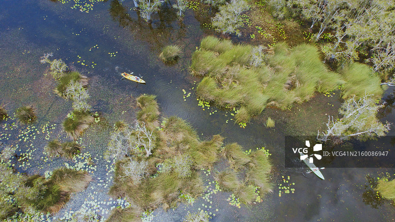 人们划船欣赏原始森林航拍图片素材