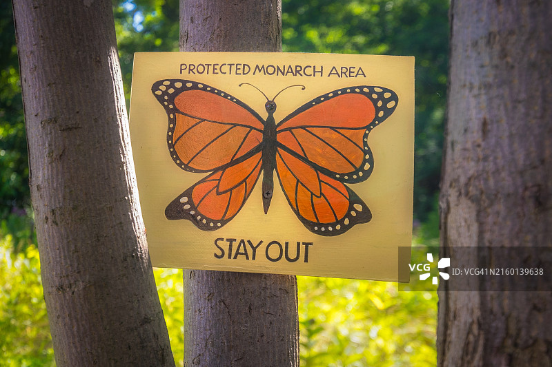 帝王蝶保护区（1）图片素材