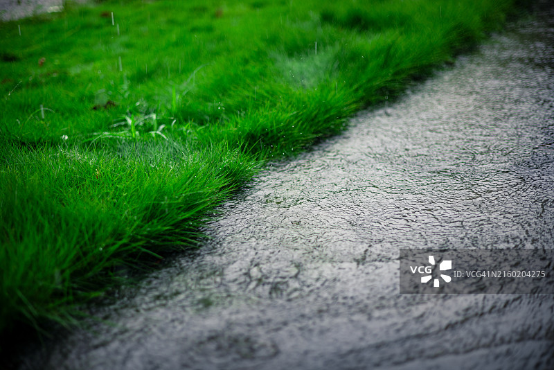 季风期间的暴雨图片素材