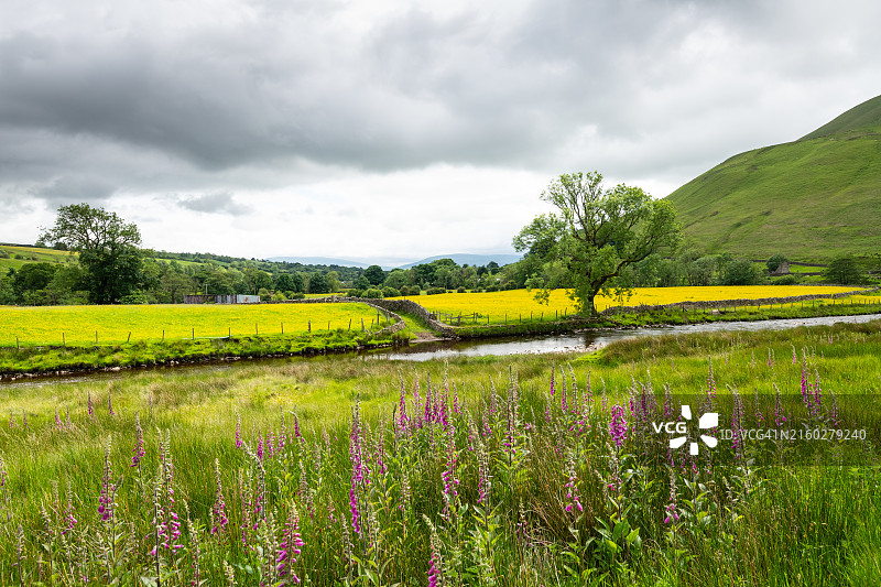 坎布里亚郡的罗西河图片素材