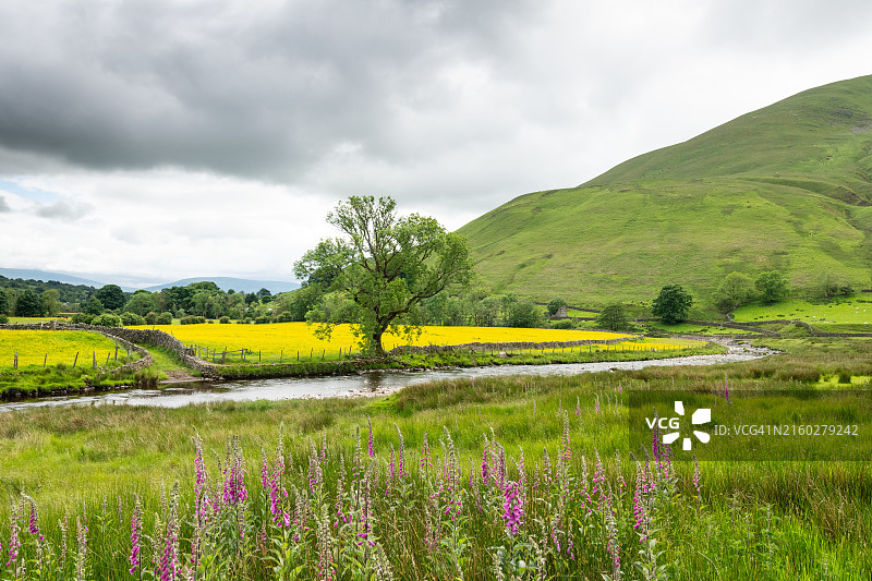 坎布里亚郡的罗西河图片素材