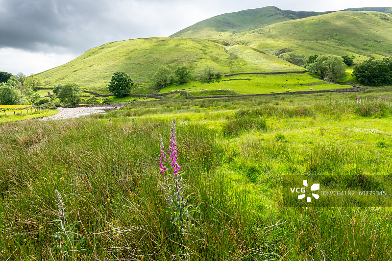 坎布里亚郡的罗西河图片素材