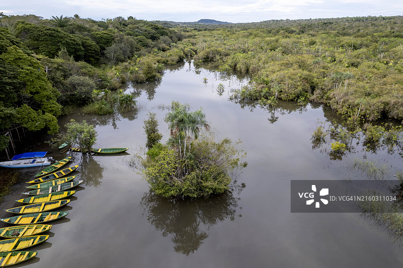 阿尔特杜尚海滩附近的洪水森林区—巴西图片素材