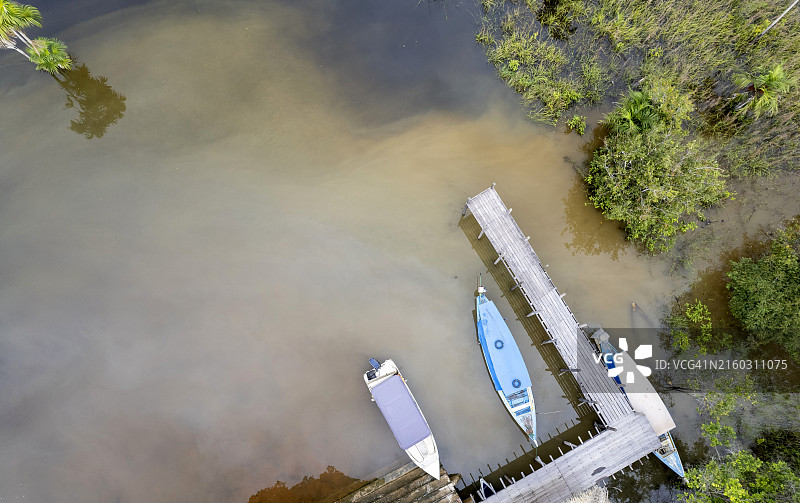 阿尔特杜尚海滩附近的洪水森林区—巴西图片素材