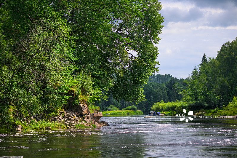 春季河边绿意盎然图片素材