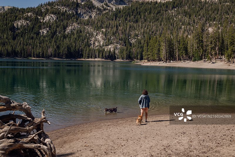 在美丽的马蹄湖边遛狗图片素材
