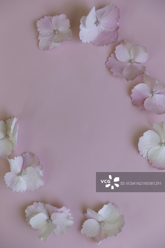 花瓣边框图片素材