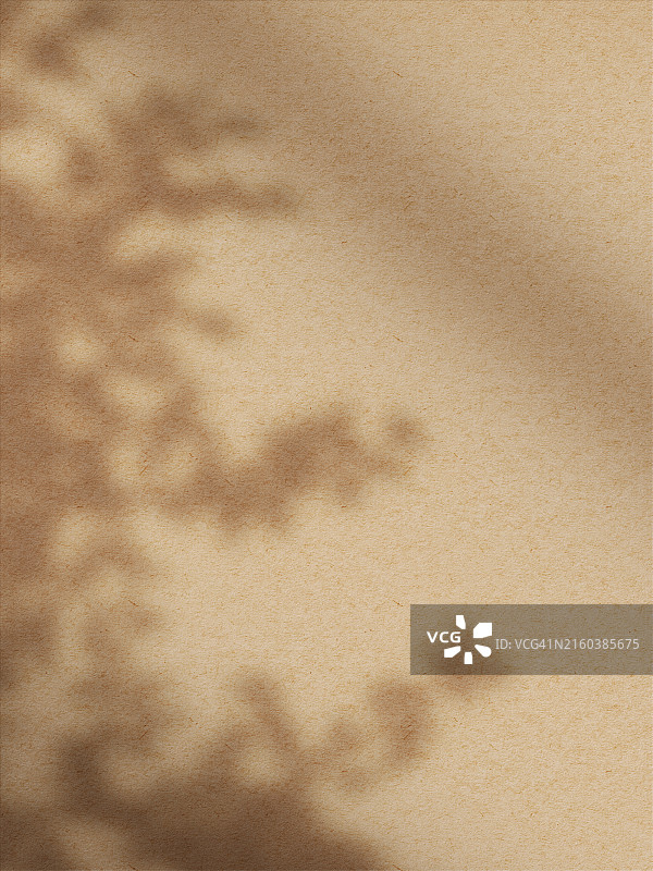 米色沙质表面植物阴影背景图片素材