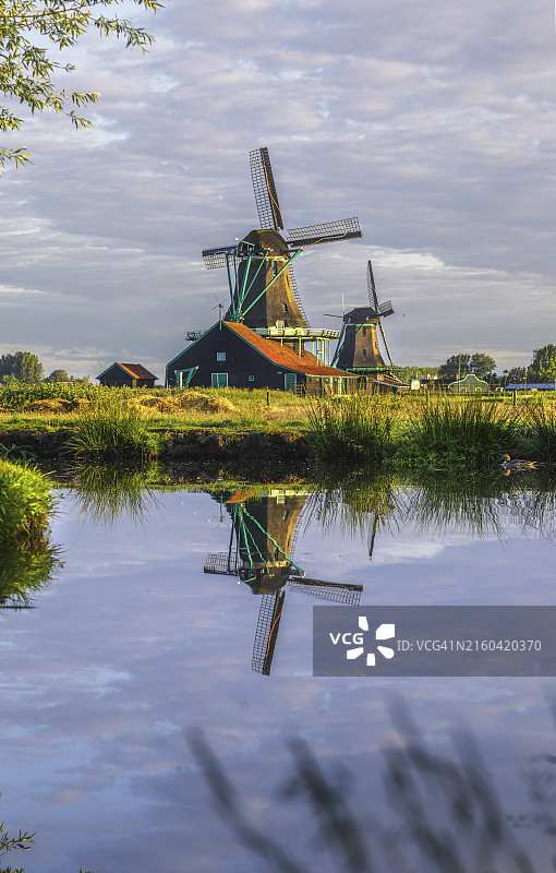 赞斯堡风车村的宁静清晨图片素材