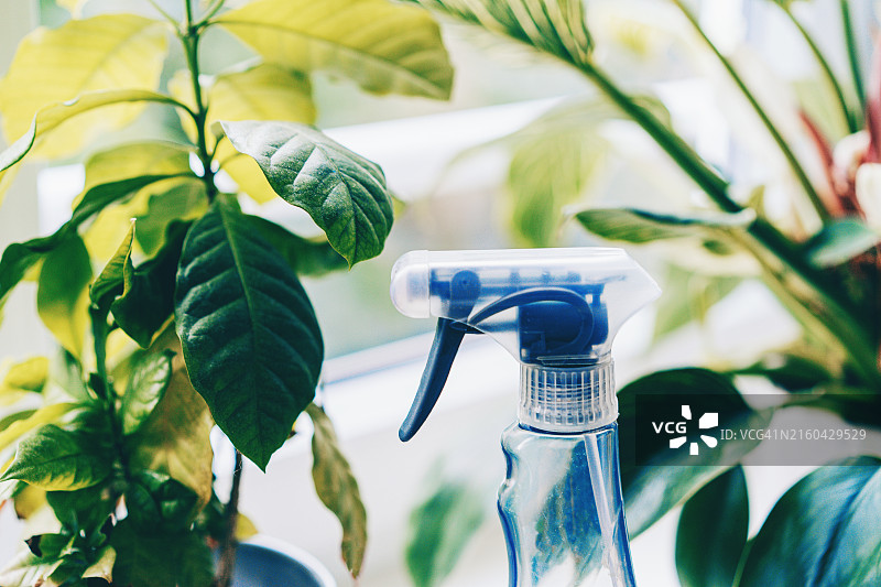 清洁用品图片素材