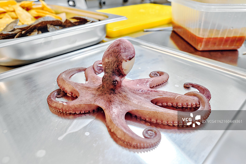 餐馆厨房托盘里的生章鱼特写图片素材