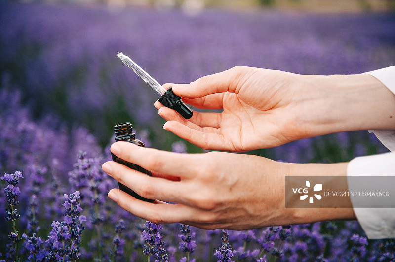 女孩手持薰衣草精油化妆品瓶，背景是薰衣草田图片素材