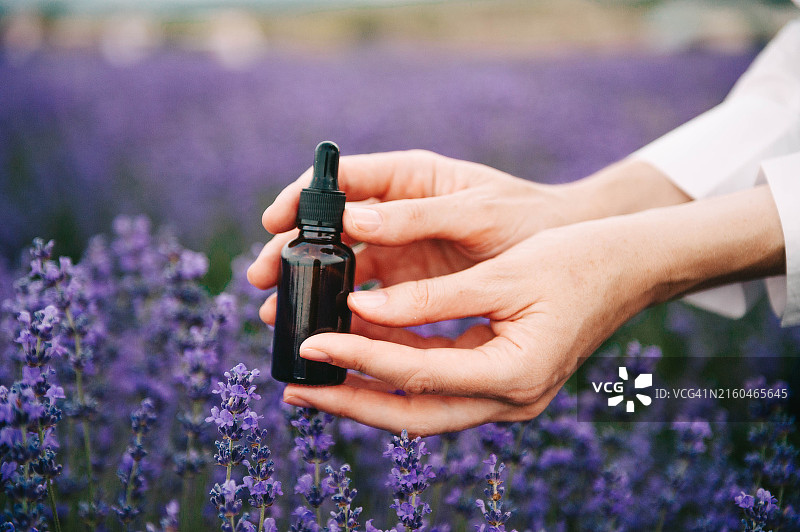 女孩手持薰衣草精油化妆品瓶，背景是薰衣草田图片素材