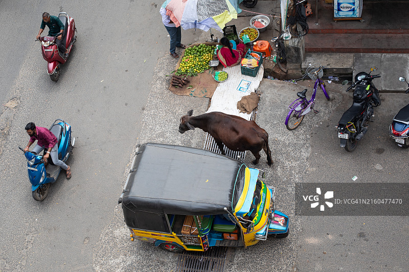 本地治里街景图片素材